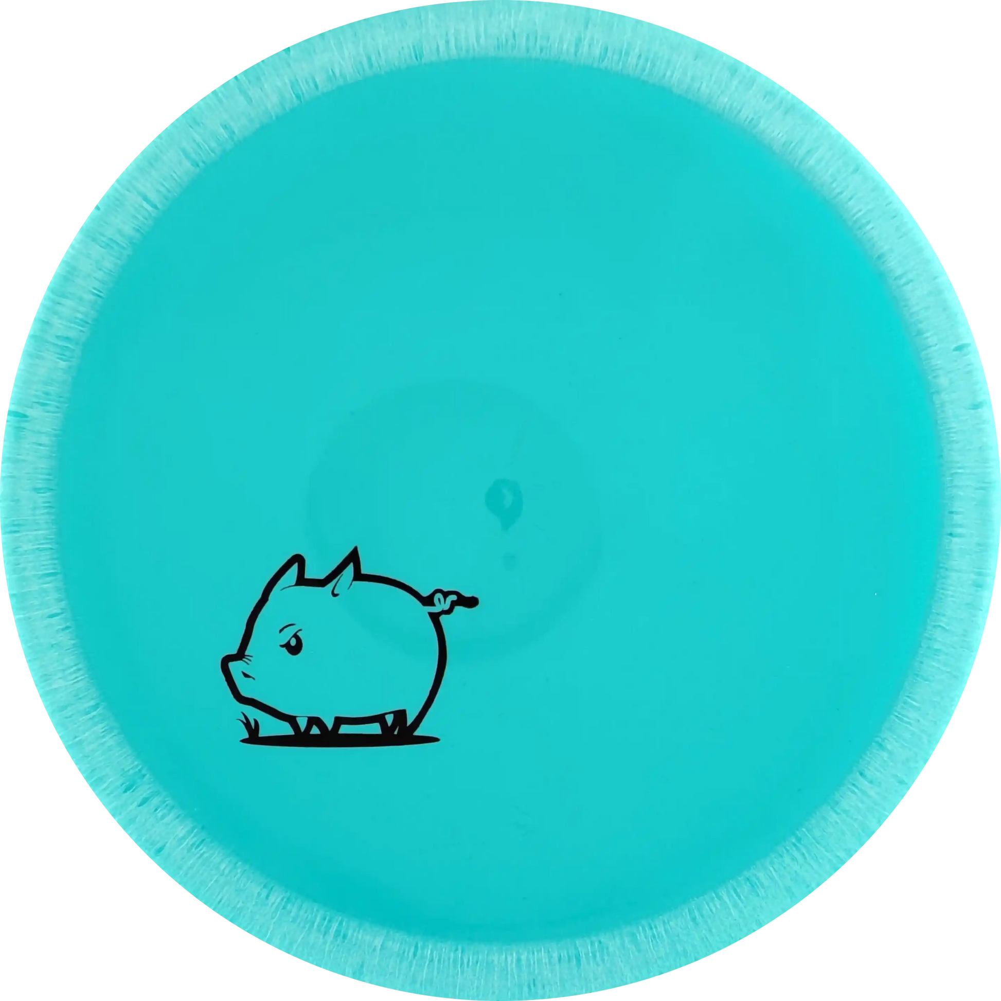 Star Pig
