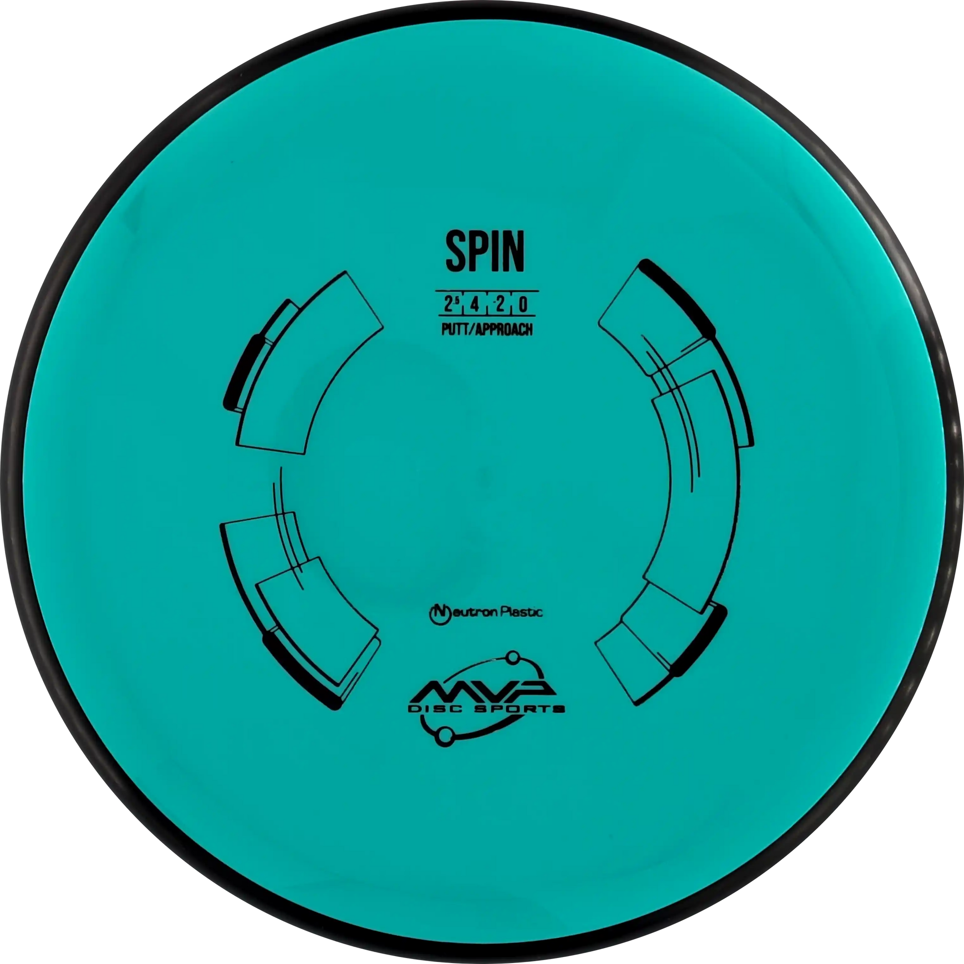Neutron Spin