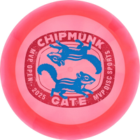 Proton 2025 MVP Open Engine