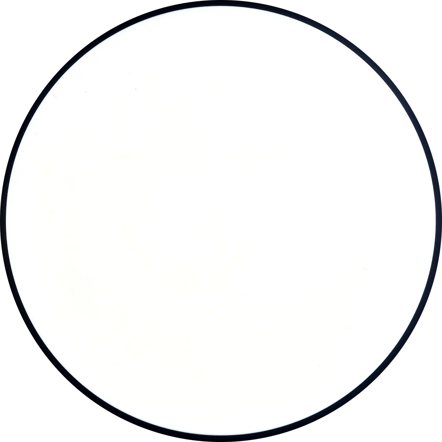 Neutron Spin Dyers Delight