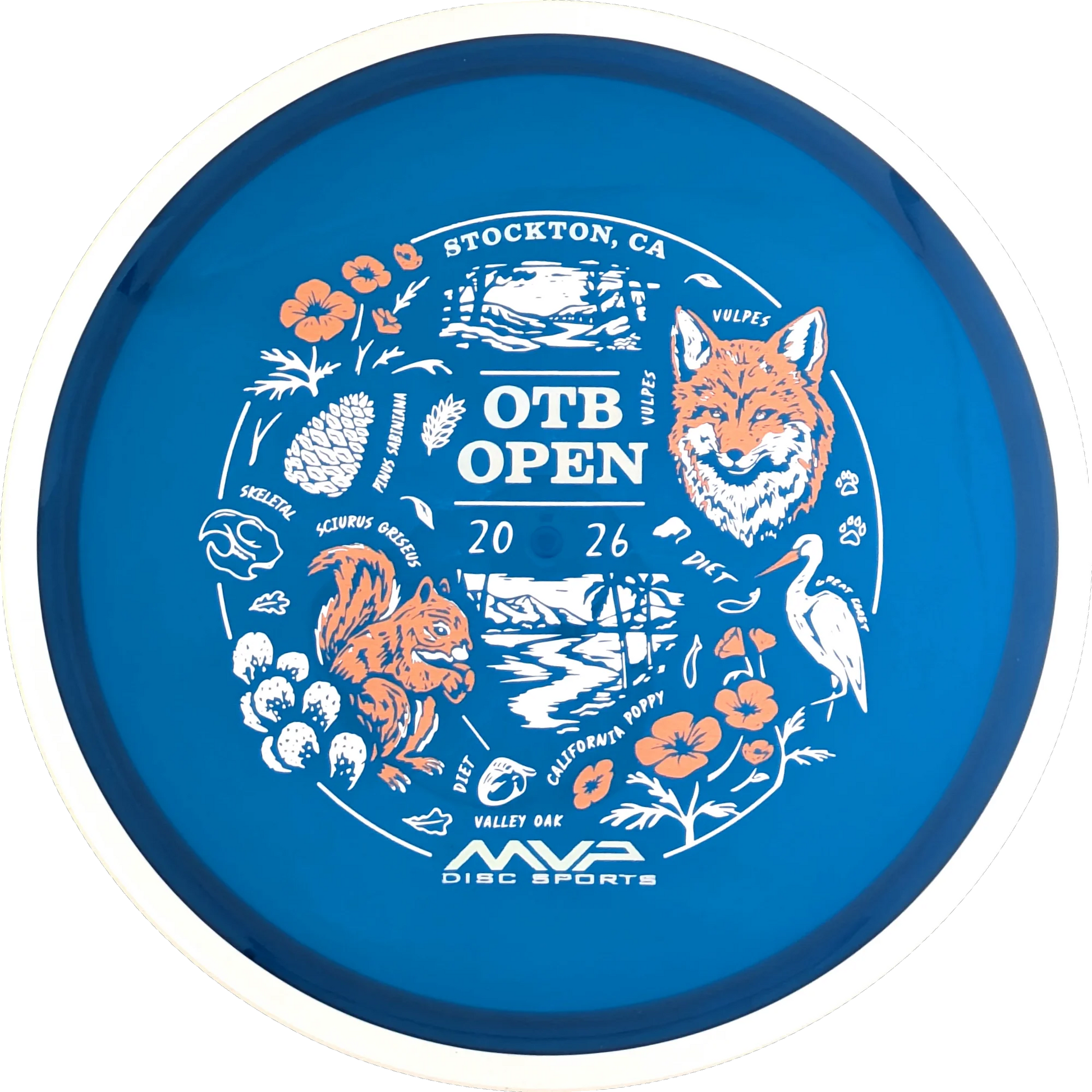 Proton 2026 OTB Open Reactor